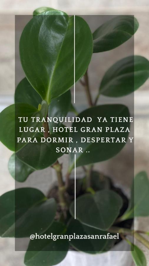 Hotel Gran Plaza San Rafael San Rafael  Eksteriør billede